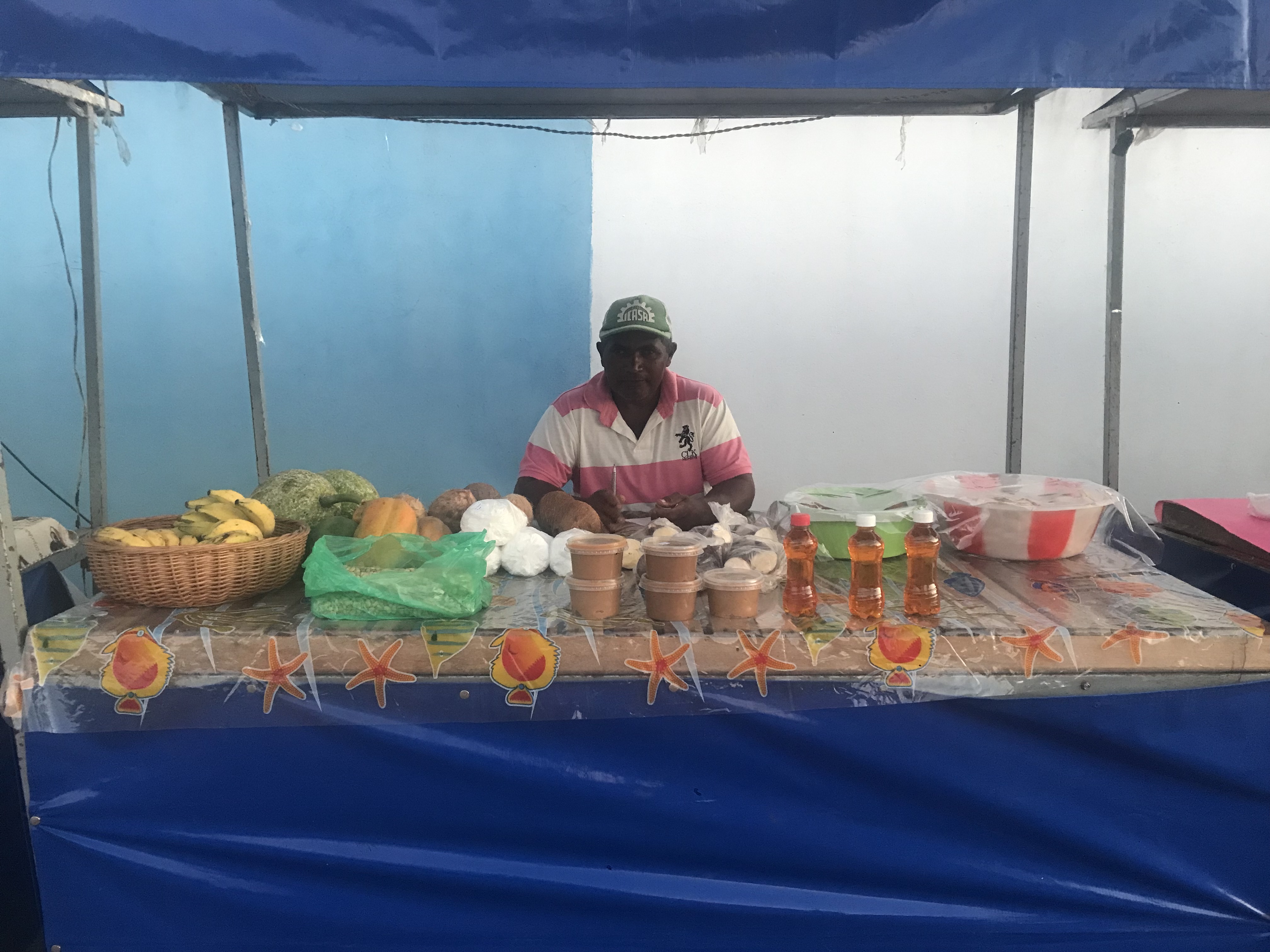 carrapatocultural.com 